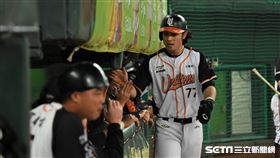 台灣大賽G3陳重廷安打送回林安可。（圖／記者王怡翔攝影）