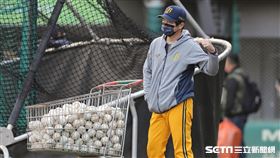 ▲台灣大賽G4中信兄弟總教練林威助賽前觀看打擊練習。（圖／記者劉彥池攝影）