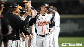 ▲台灣大賽G4，統一獅總教練林岳平。（圖／記者劉彥池攝影）