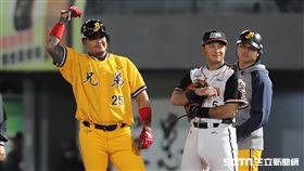 ▲台灣大賽G4，中信兄弟林智勝代打敲安。（圖／記者劉彥池攝影）