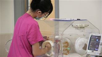 移工懷孕月領3.9萬？　勞動部回應了！