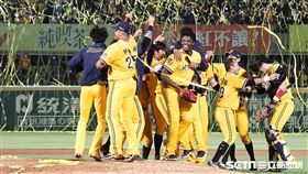 ▲中信兄弟4：0橫掃統一獅拿下中華職棒32年總冠軍。（圖／記者劉彥池攝影）