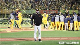 ▲中信兄弟拿下中華職棒32年總冠軍，統一獅總教練林岳平神情落寞。（圖／記者劉彥池攝影）