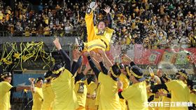 ▲中信兄弟拿下中華職棒32年總冠軍，總教練林威助被隊員高高拋起。（圖／記者劉彥池攝影）