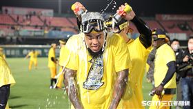 ▲中信兄弟拿下中華職棒32年總冠軍，洋投華德茲被淋香檳。（圖／記者劉彥池攝影）