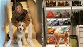  （圖／翻攝自yuki_2020_10_10 IG）