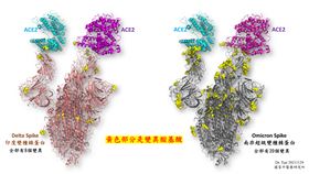 蔡耿彰博士提供