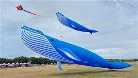 2021屏東風箏節12/4熱鬧登場2021屏東風箏節4日起一連兩天將在高屏溪河濱公園舉行，活動以「環遊世界趣」為主題，現場將展示各種特技風箏、卡通造型風箏及大型飛機風箏等，歡迎民眾到場共襄盛舉。（屏東縣政府提供）中央社記者郭芷瑄傳真  110年12月2日