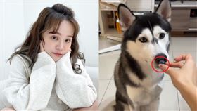 陳彥婷「餵狗畫面」遭私訊狂罵無知！氣炸揭真相：放心我都截圖了
。陳彥婷IG