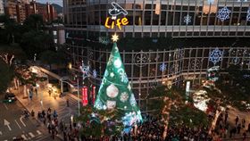 漫步粉紅銀河！仁愛圓環聖誕樹點燈　台新推「破萬元」優惠。（圖／台新金控提供）