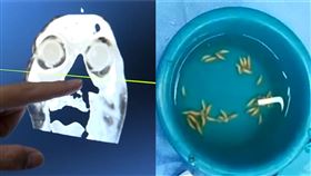 圖／翻攝自看看新聞