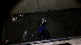 台東女陳屍水溝