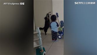 男孩著急打不開門　厭世貓上演神救援