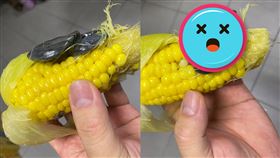 玉米,玉米黑穗菌,肉瘤,驚嚇,青蛙,美食