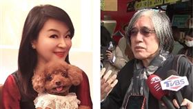 詹宏志聲明否認壓新聞！周玉蔻痛批：拜託你先辭掉國策顧問（圖／翻攝自周玉蔻臉書、資料照）