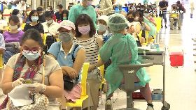 打疫苗好康0800(DL)