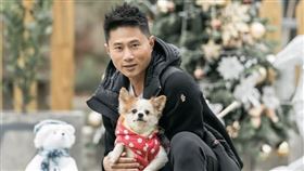 聖誕景點。（圖／中華親善動物保護協會提供）