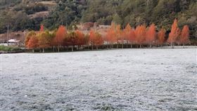 武陵農場，地面結白色冰霜，北國風情，結霜，(圖/翻攝自武陵農場臉書)