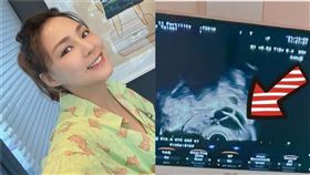 （圖／翻攝自熊熊臉書）