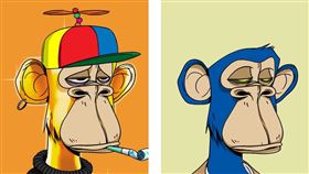 男友花10萬買「猴子照片」她喊分手　陳零九：我丟快千萬（圖／翻攝自Bored Ape Yacht Club官網）