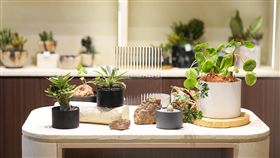 ▲（圖／業者提供）