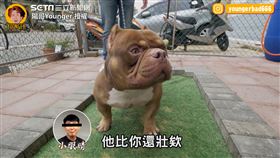 （圖／陽哥Younger 授權）