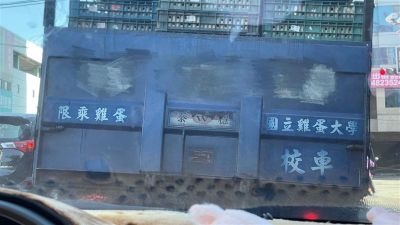 雞蛋也要上大學？這輛「校車」網嗨爆