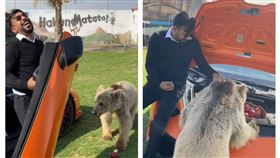  杜拜富豪讓棕熊拆車（圖／翻攝自humaidalbuqaish IG）