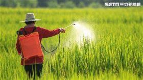 農產品,農藥,農作物
圖/灃食教育基金會提供