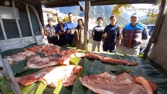 暖所長助人36年　受助癌婦贈豬報恩