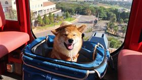 麗寶樂園，麗寶樂園渡假區提供