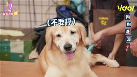 ▲江宏恩、舒子晨傾聽羅秘書長分享狗場經營的理念（圖／Vidol提供）