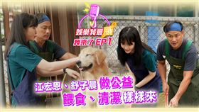 ▲江宏恩、舒子晨傾聽羅秘書長分享狗場經營的理念（圖／Vidol提供）