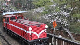 阿里山火車站可接種莫德納疫苗（2）嘉義縣衛生局7日起在阿里山火車站設置接種站，為民眾施打2019冠狀病毒疾病（COVID-19）莫德納（Moderna）疫苗，讓民眾遊阿里山也可顧健康。圖為行駛中的阿里山小火車。（嘉義縣政府提供）中央社記者蔡智明傳真  110年12月7日