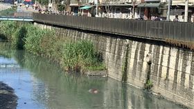 新北市,永和,無頭屍,命案，記者陳啓明攝影