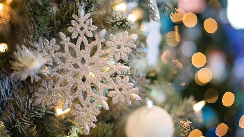 牆壁長聖誕雪花？真相網笑：荷包的淚