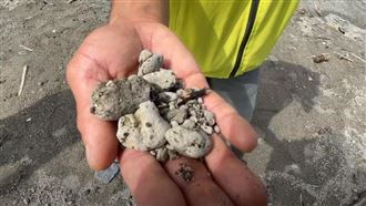 日本飄來「火山浮石」東海岸生態驟變