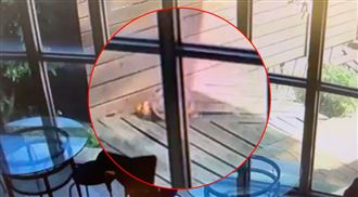 公司棧板突竄火…竟和「一顆球」有關