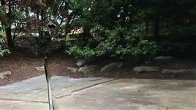 ▲車子洗到變隱形！照片網吃驚：找不到（圖／翻攝自爆廢公社公開版）