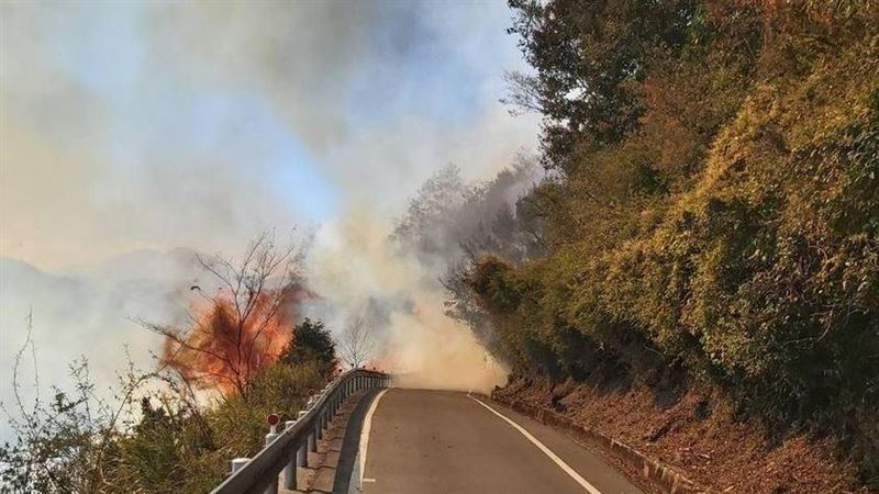 畫面曝！合歡山火燒山延燒至路面