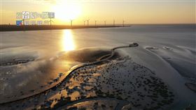 高美濕地的誕生，源自由一個美麗的錯誤