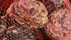 嫌乾皺發黑百香果「10元才有人會買」　內行卻讚爆：賺爛了！我愛全聯-好物老實說