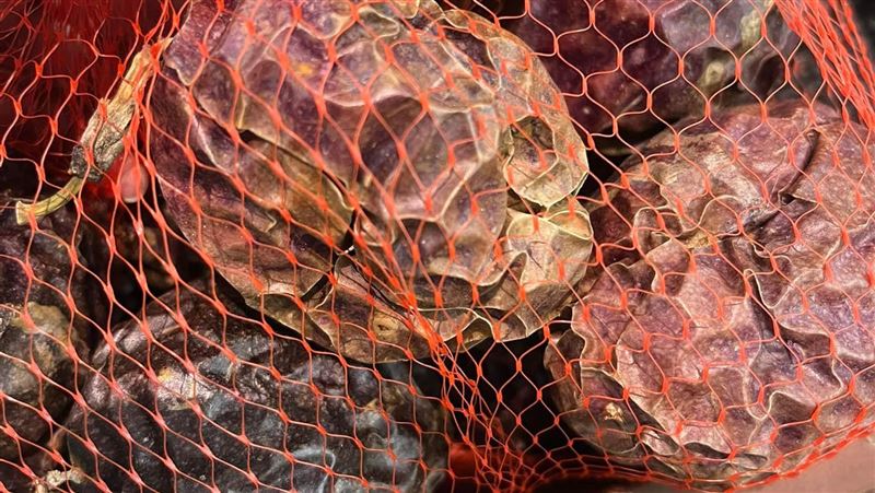 百香果乾皺發黑　網暴動：這才是珍品