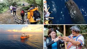 ▲生態旅遊推薦玩法。
（圖／Tripbaa趣吧！旅遊平台）