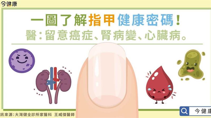 一圖了解指甲健康密碼　異常盡速就醫
