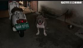 高雄,天九牌,岡山,賭場,把風,浩呆