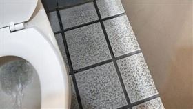 圖／翻攝自爆廢公社
捷運,女廁,馬桶