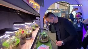 文 新創大南方1700