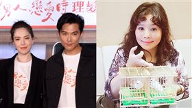 邱澤與許瑋甯、鳥卦師王馨怡（組圖／翻攝自王馨怡臉書）