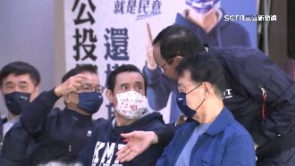 藍綠大咖拚公投！藍台中場不見盧秀燕